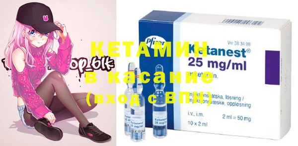 apvp Алзамай