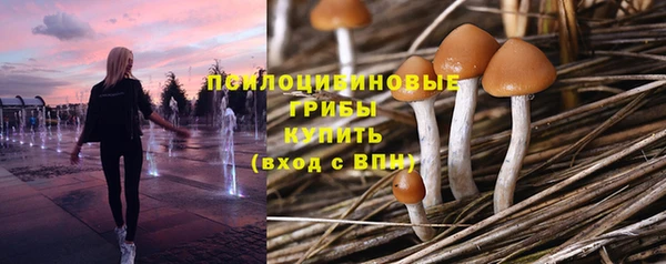 мескалин Новокубанск