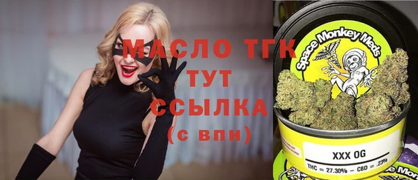 дмт Алексин
