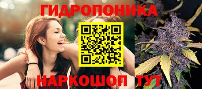 ПСИЛОЦИБИНОВЫЕ ГРИБЫ Усть-Джегута