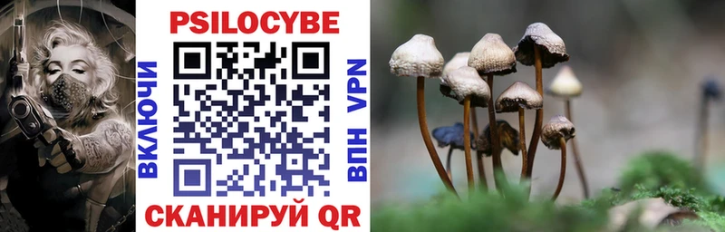 Псилоцибиновые грибы Magic Shrooms  даркнет сайт  Невинномысск 