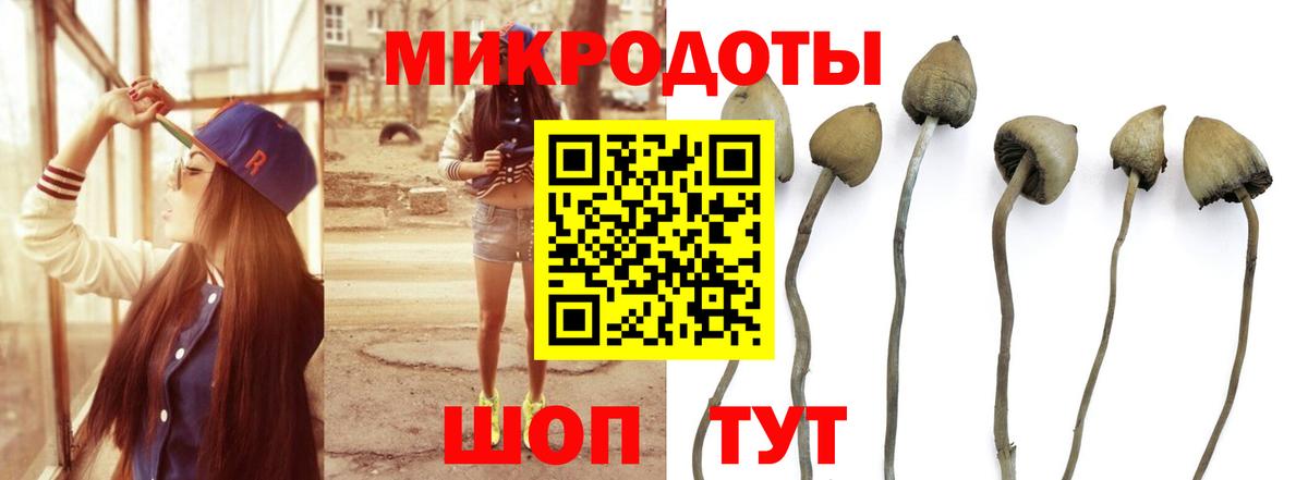 Псилоцибиновые грибы ЛСД  Вход с VPN  Галлюциногенные грибы мухоморы  Невинномысск 